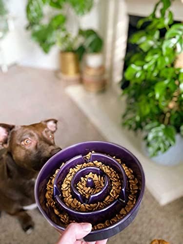 Ceramic Slow Feeder - Purple Maze