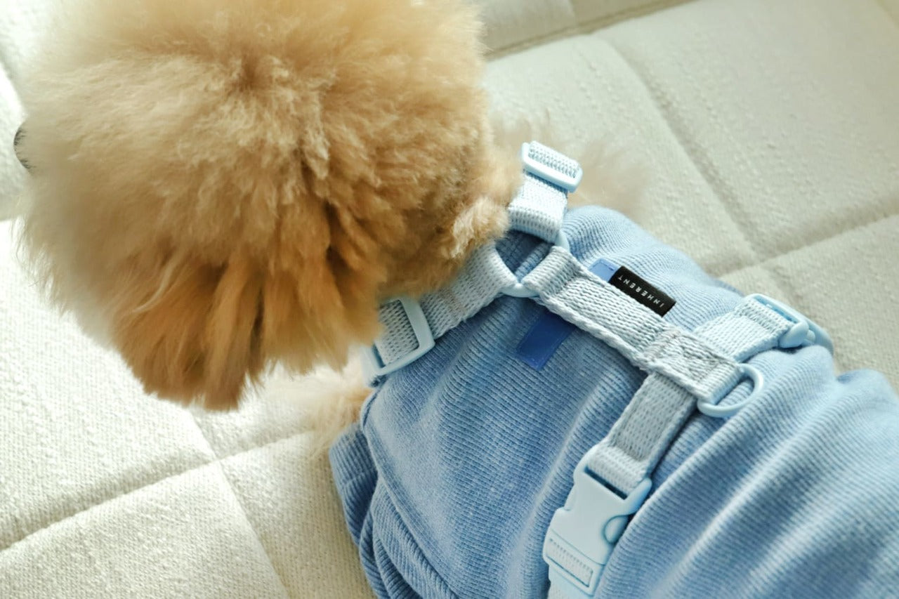 Macaron Pet Harness