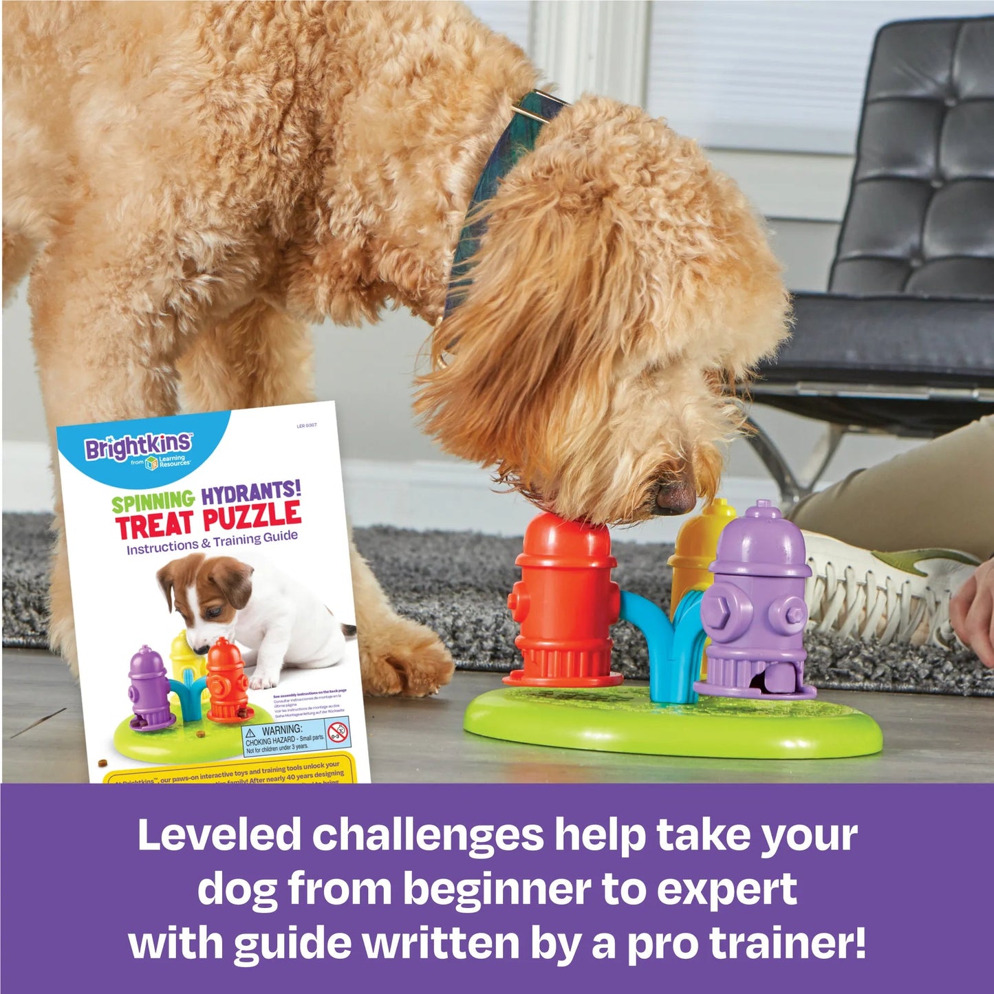 Spinning Hydrants - Treat Puzzle