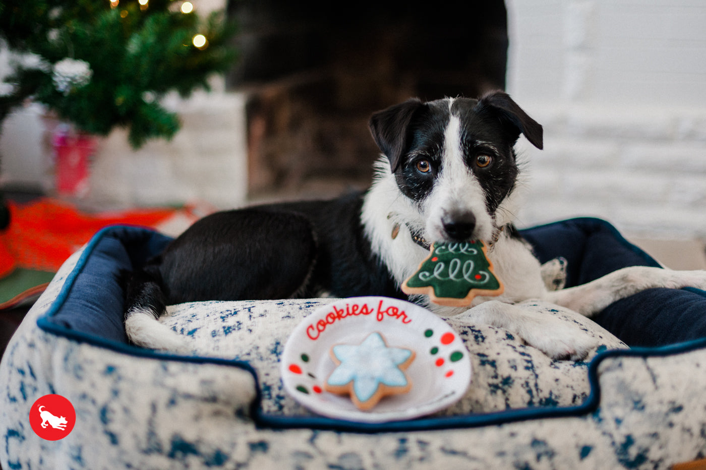 Dog Plush Toy - Merry Woofmas Collection