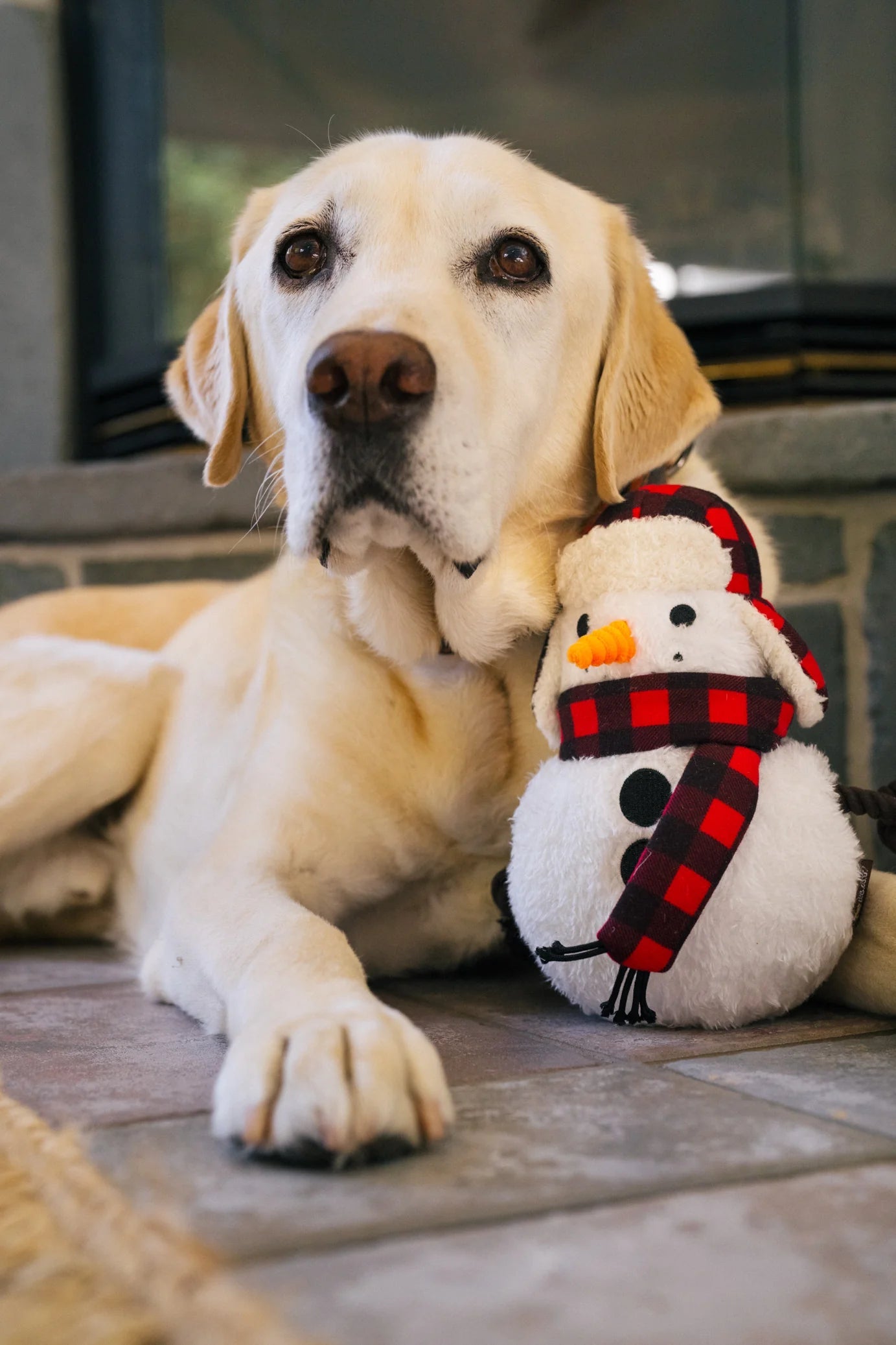 Dog Plush Toy - Home for the Holidays - Blizzard Buddy