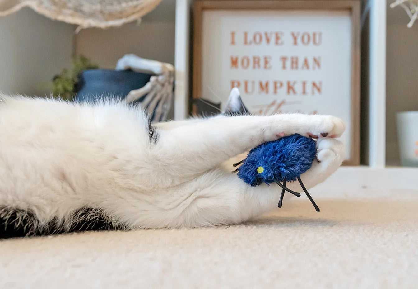 Feline Frenzy - Halloween Cat Toy - Creepy Critters
