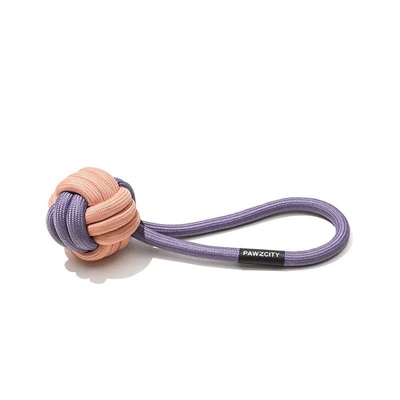 Dog Toy Ice cream Tug