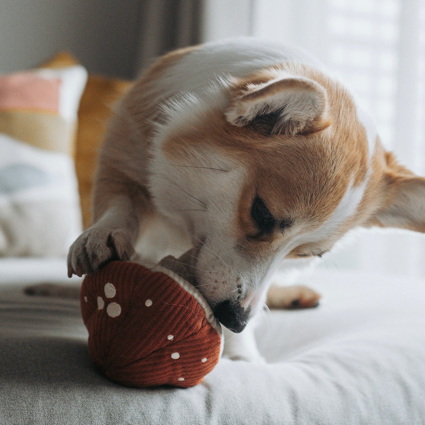 SHROOM - Snuffle Mushroom Toy