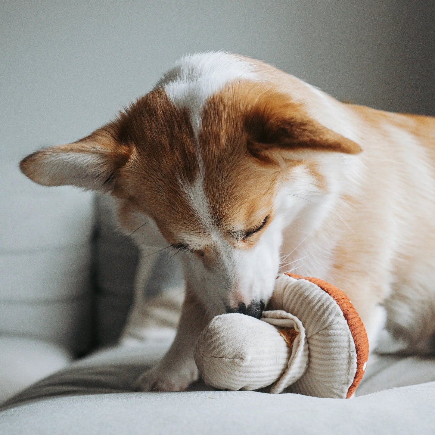 SHROOM - Snuffle Mushroom Toy