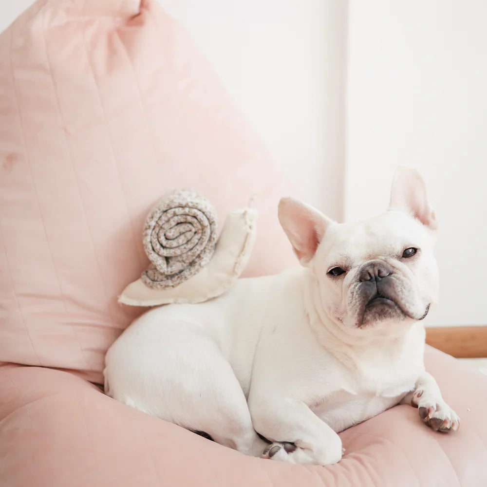 Snail - Snuffle + Squeaky Toy