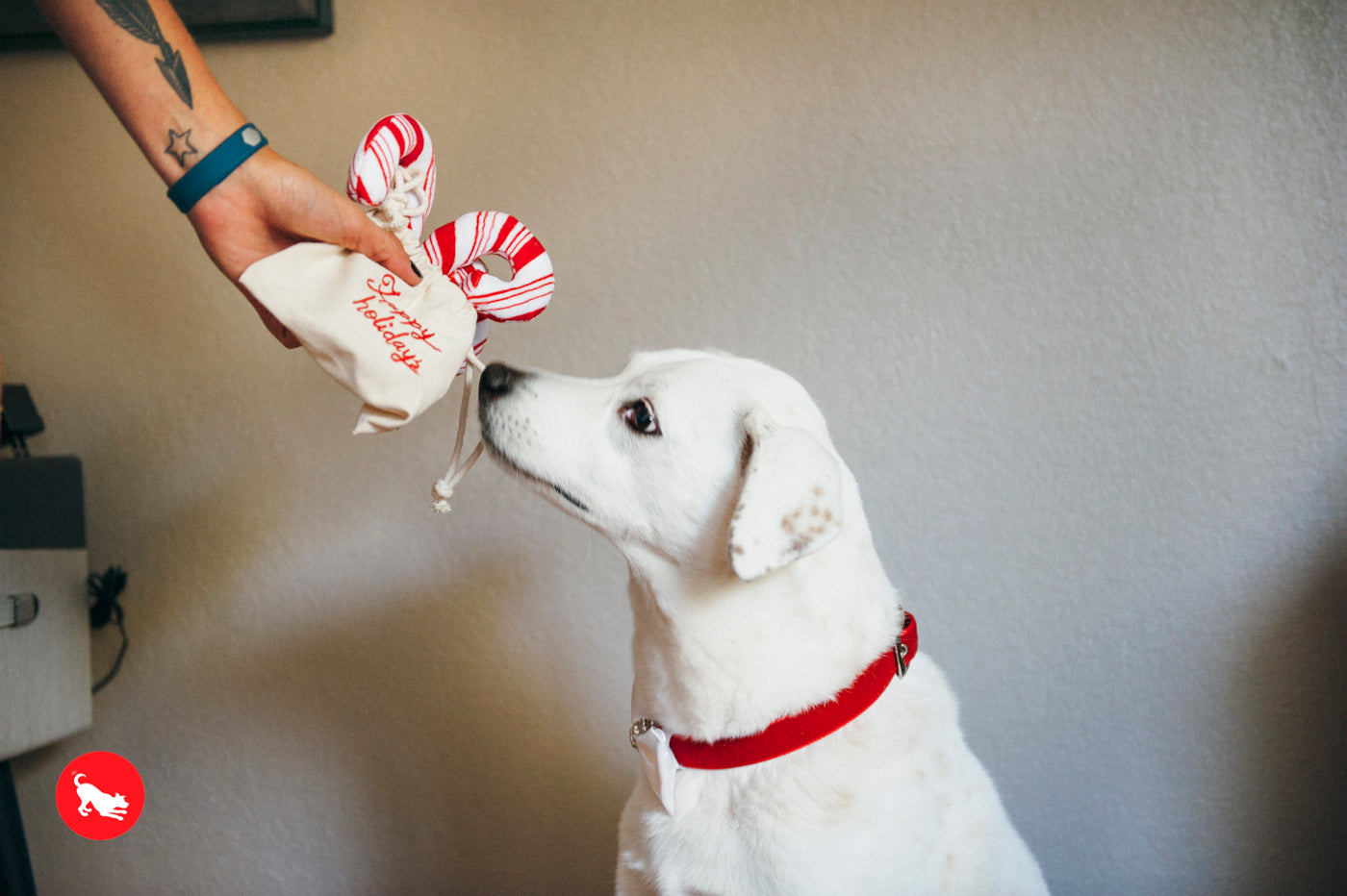 Dog Plush Toy - Holiday Classic Collection