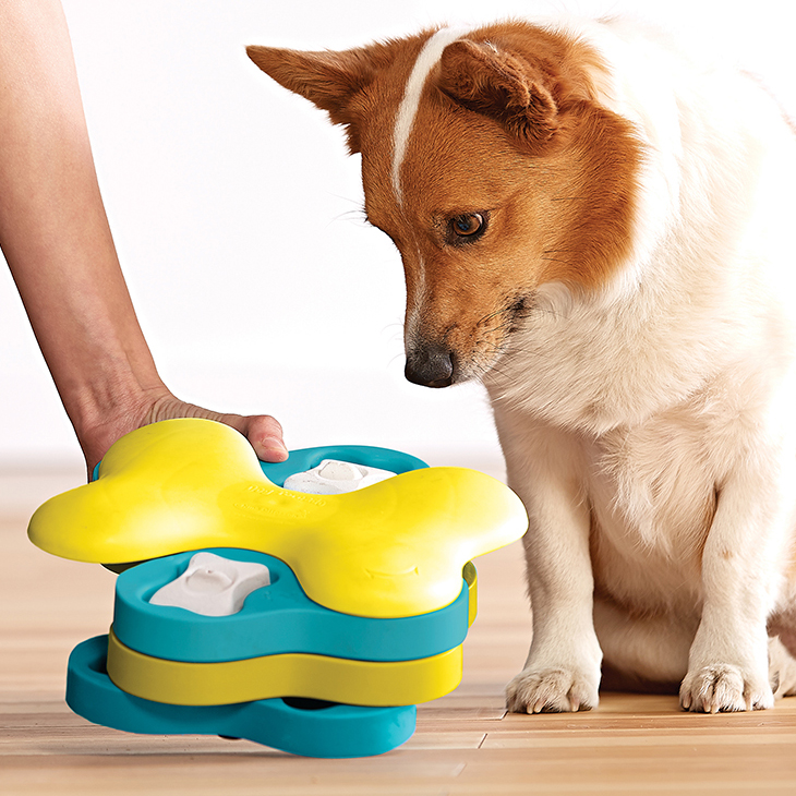 DOG PUZZLE GAME - DOG TORNADO