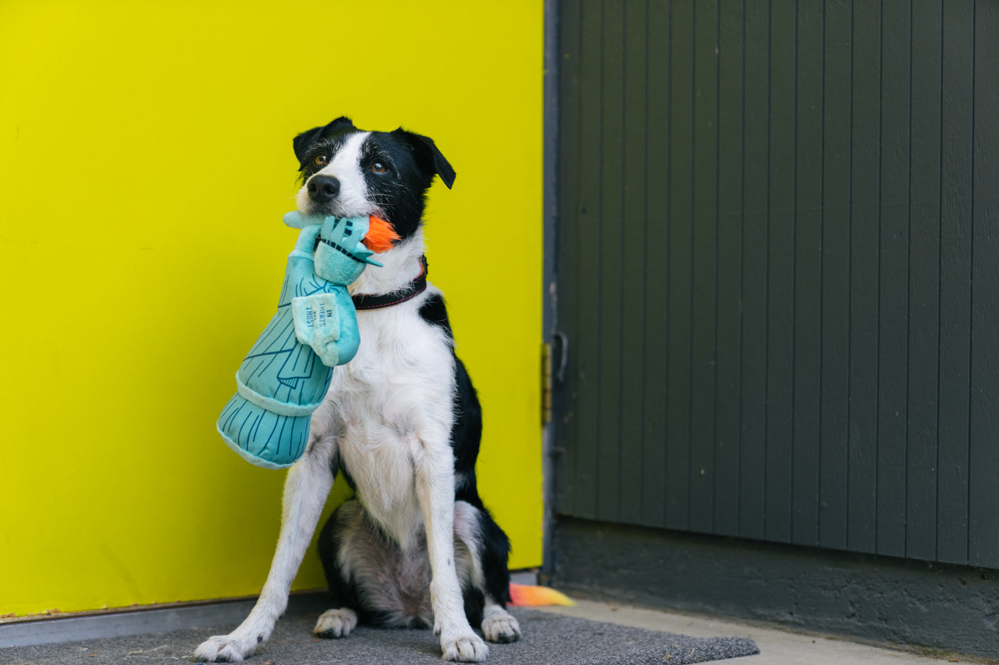 Dog Plush Toy - Totally Touristy Collection
