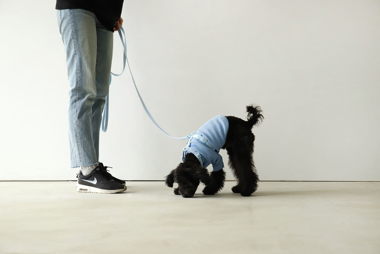 Macaron Pet Harness