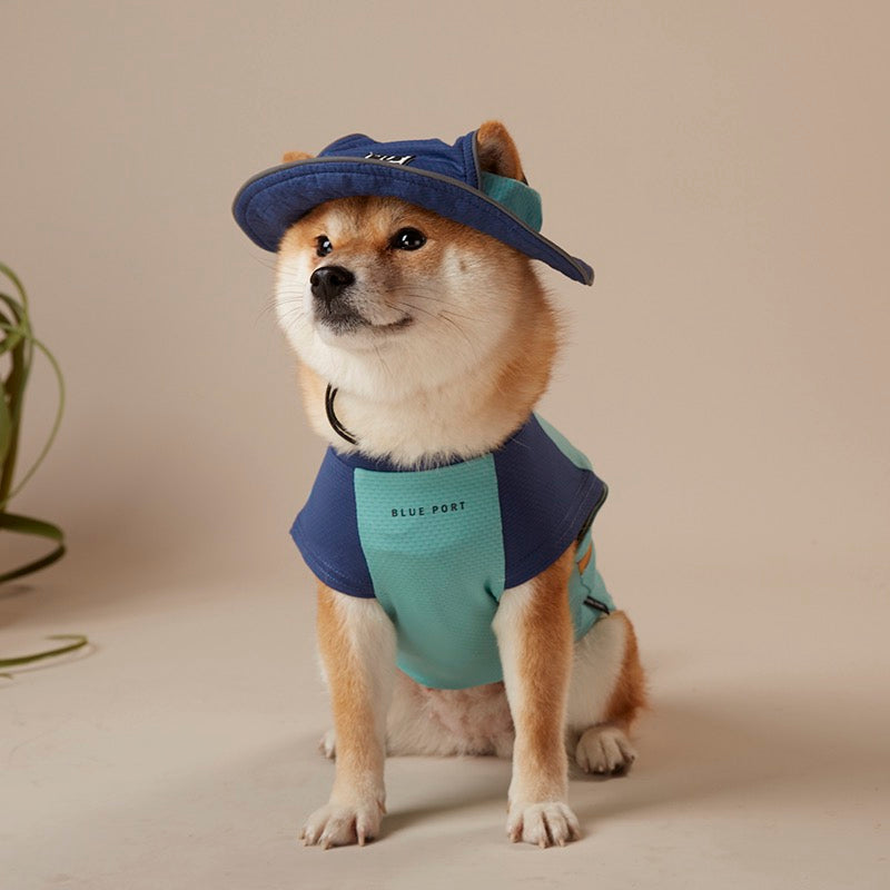 UV Protection Pet Bucket Hat