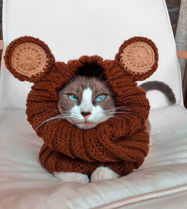 SNOOD - GRIZZLY BEAR