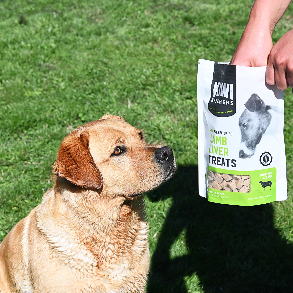 Kiwi Kitchens Raw Freeze Dried Dog Treats - Lamb Liver