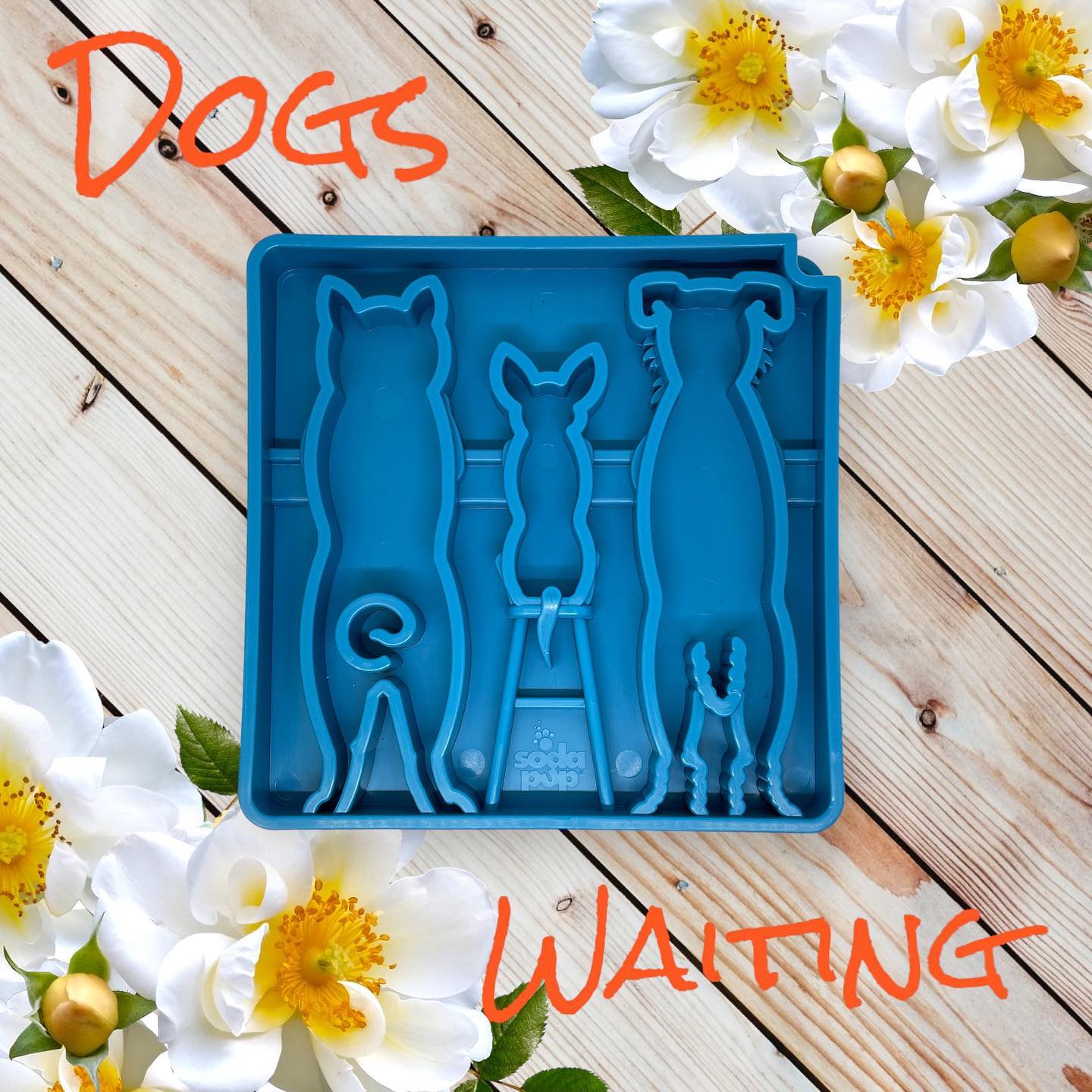 SP Waiting Dogs Enrichment Food Tray