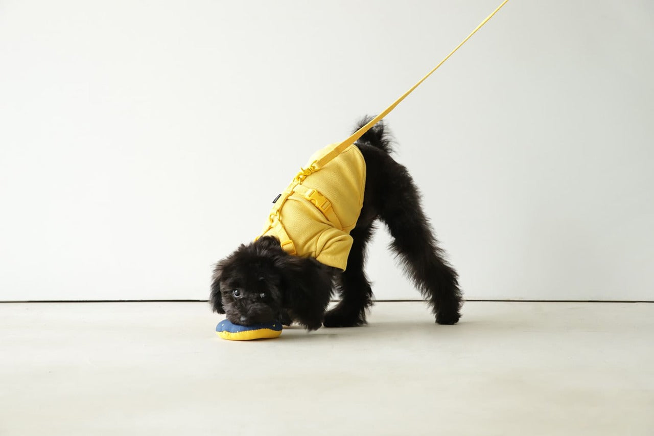Macaron Pet Harness