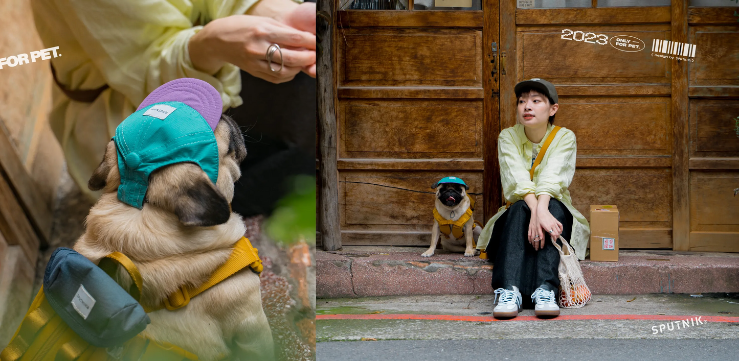 Nylon Baseball Pet Cap