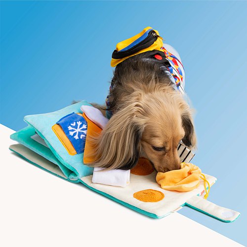 Snuffle Book Toy - 7-Twelve Food Guide