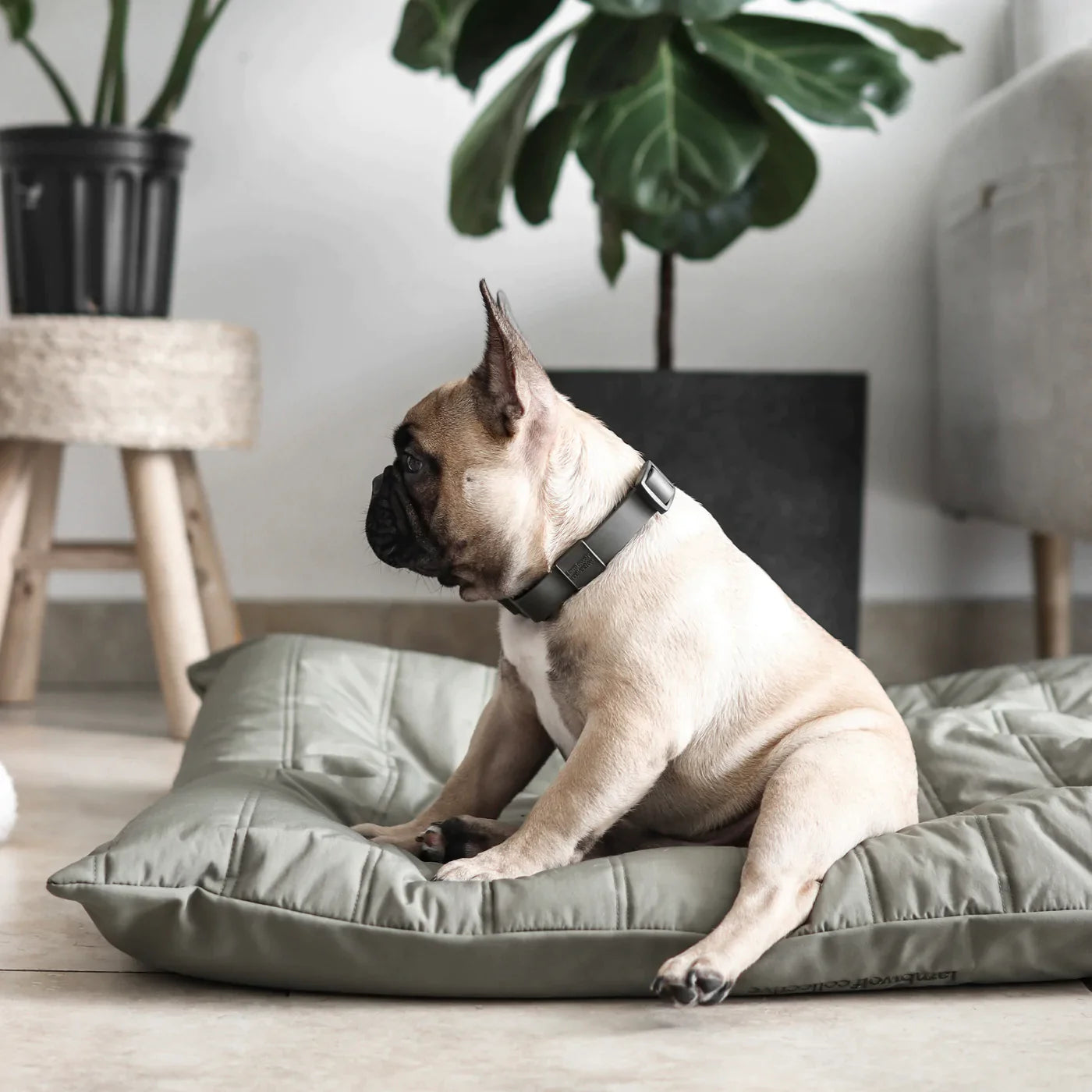 【PRE-ORDER】MAATIN low rise reversible dog bed