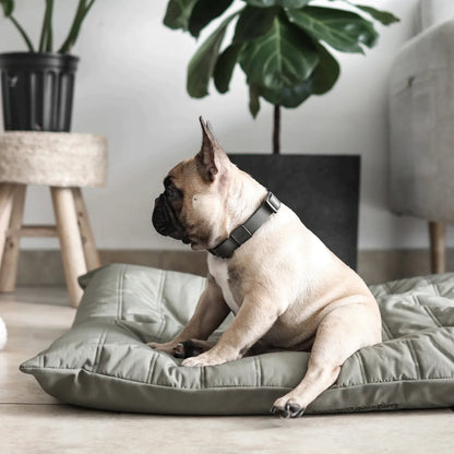 【PRE-ORDER】MAATIN low rise reversible dog bed