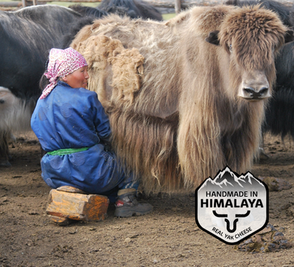Himalayan Cheese Bar