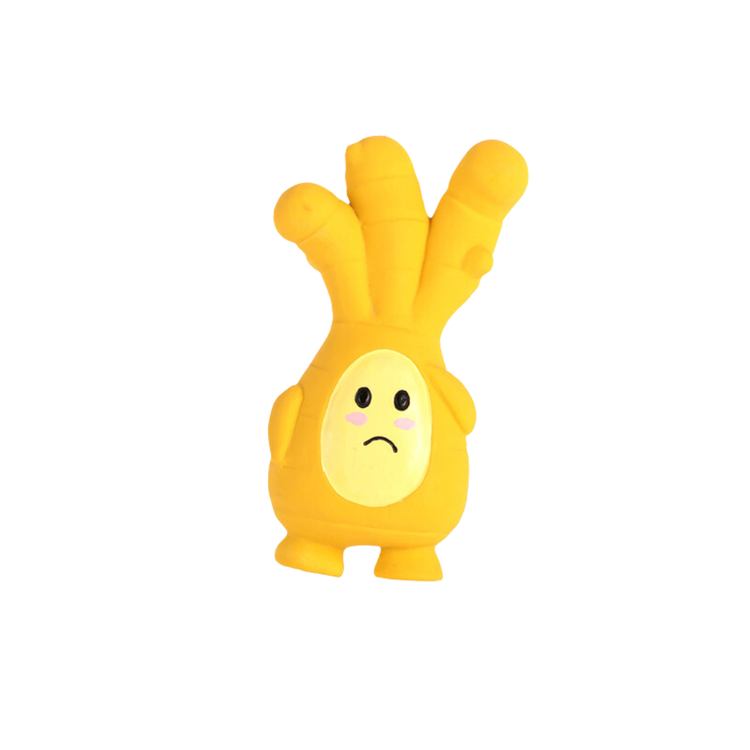 Ginger Boy Rubber Dog Toy