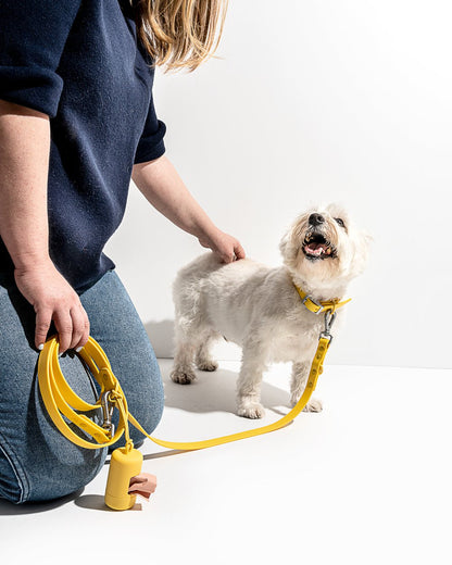 Leash - SALE