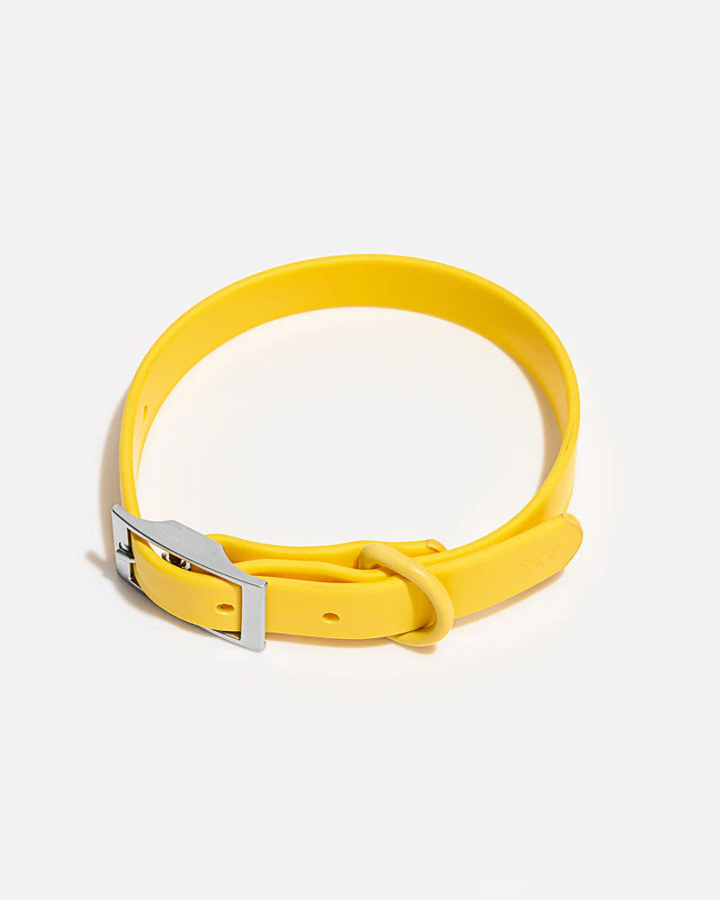 Collar - SALE