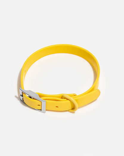 Collar - SALE