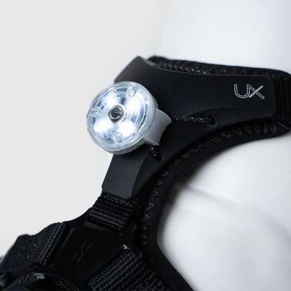 LED Light Pendant