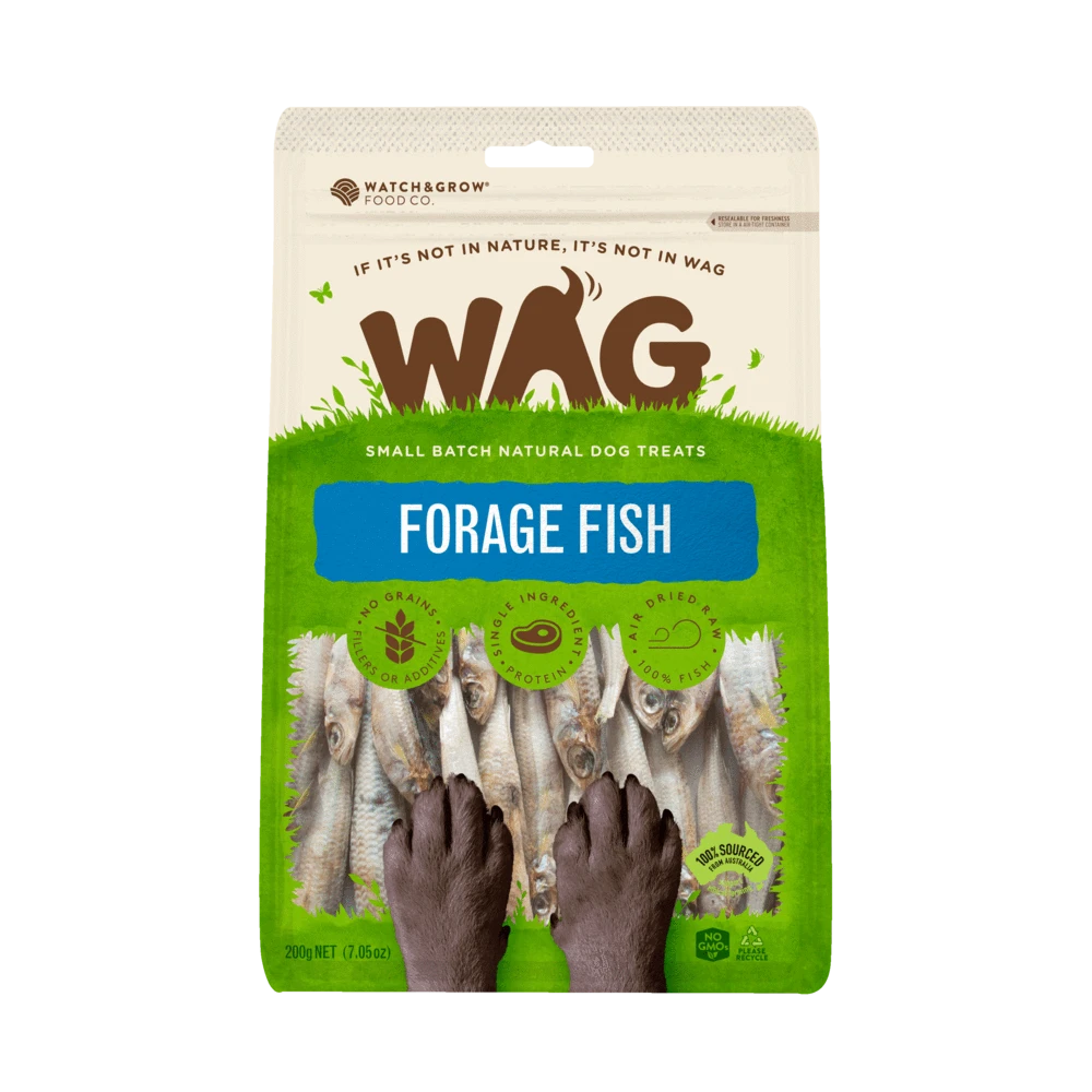 Forage Fish