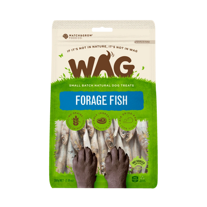 Forage Fish