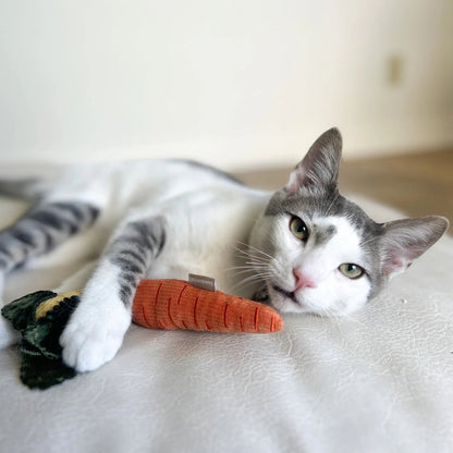 BABY CARROT - cat nips toy