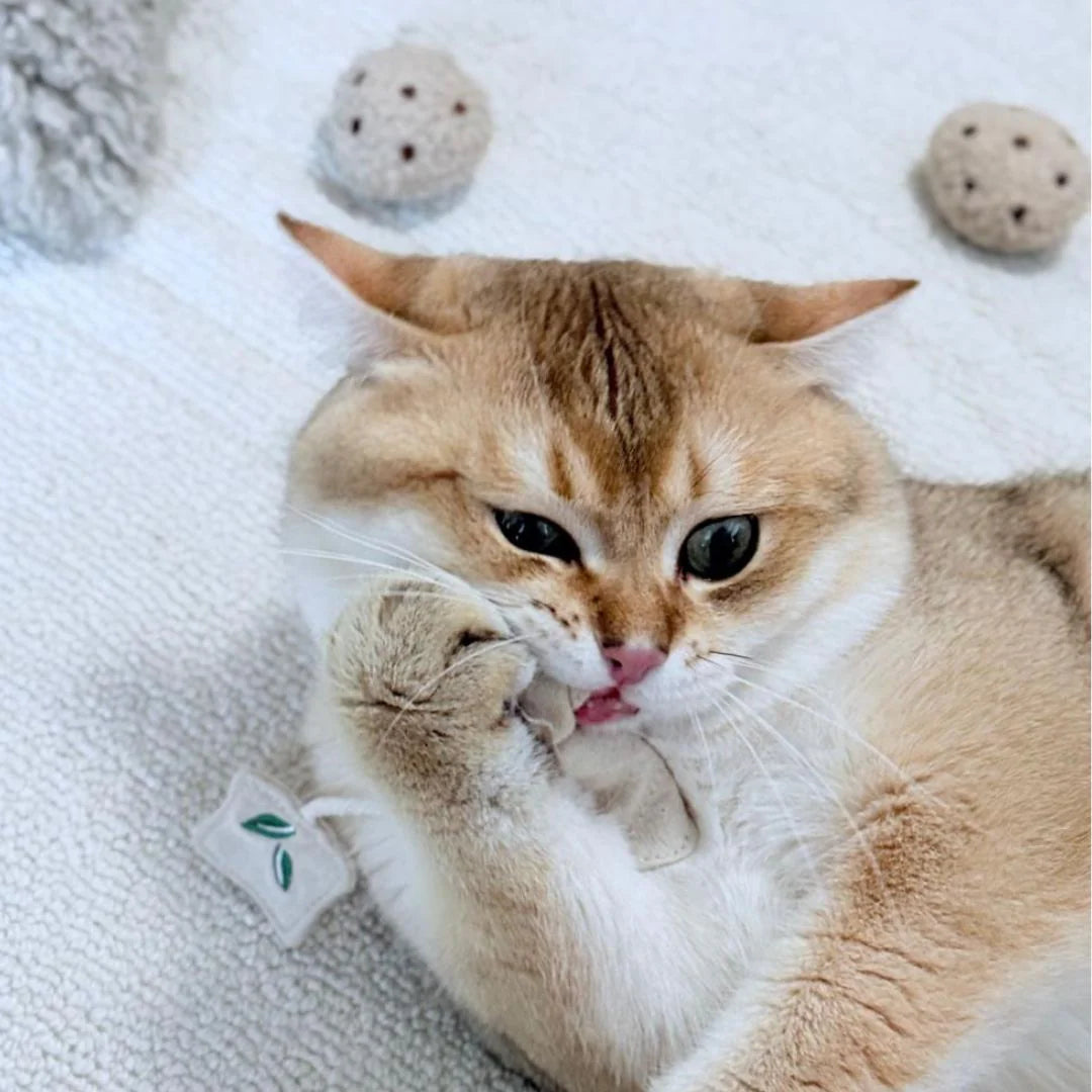 TEA TIME cat nips toy