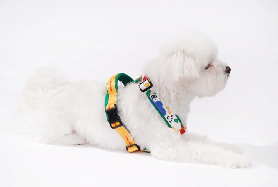 H-Type Harness