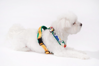 H-Type Harness