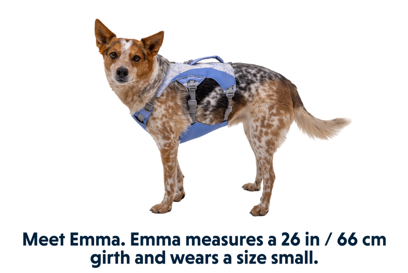 Swamp Cooler™ Pet Cooling Harness