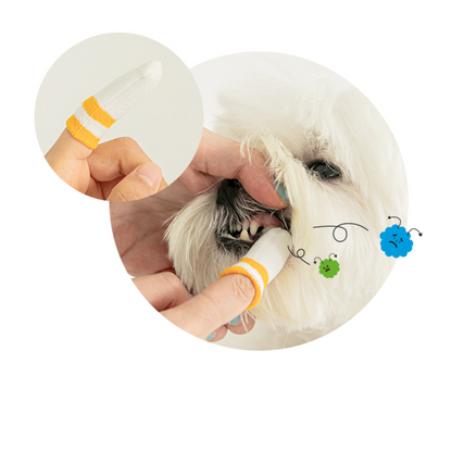 Micro-Fleece Finger Tooth Brush