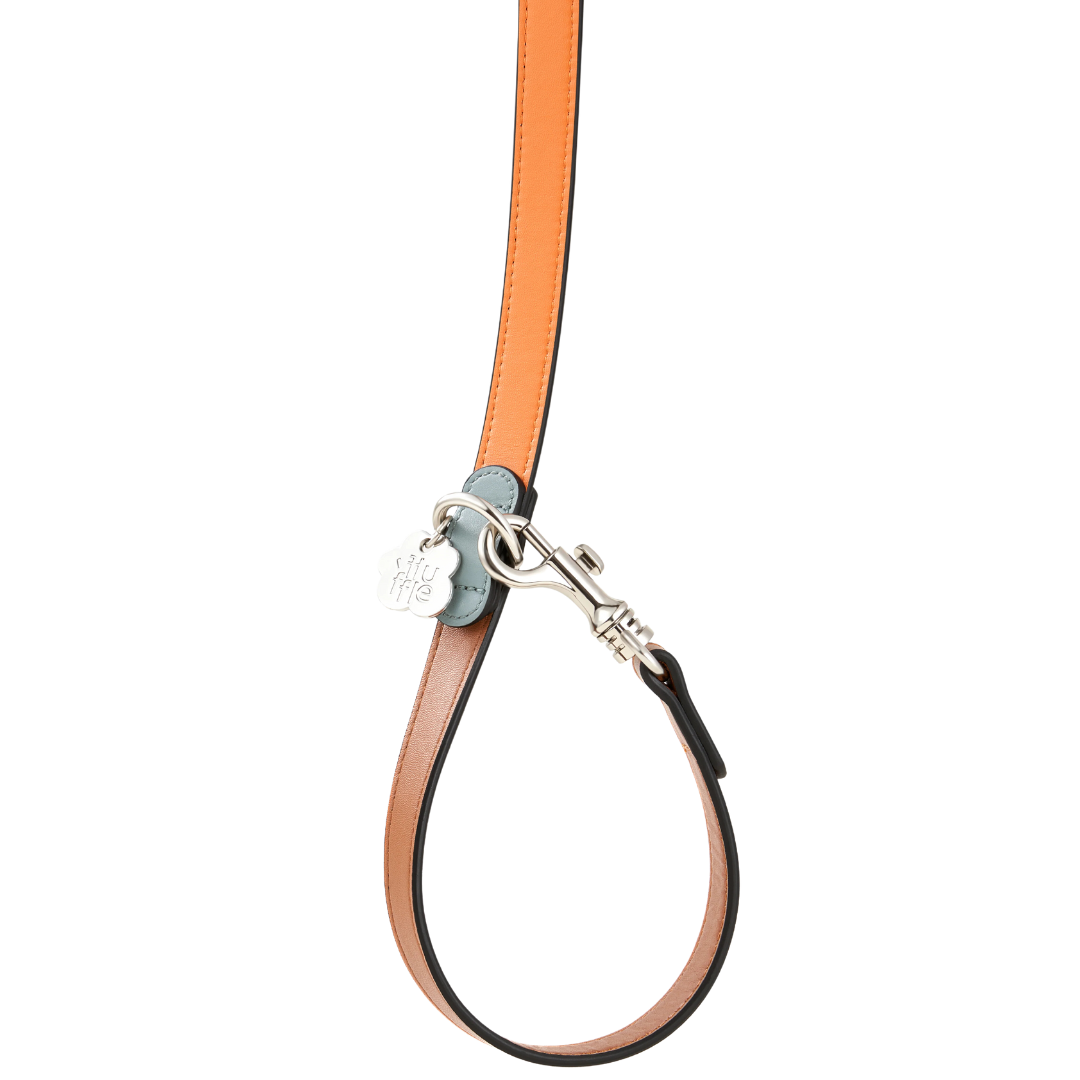 Pashmak Dog Leash