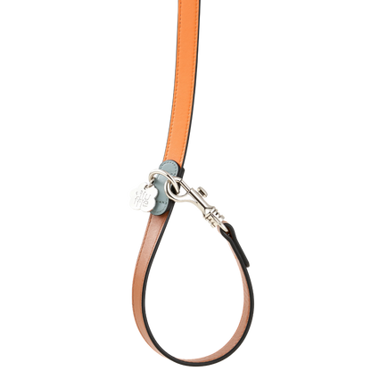 Pashmak Dog Leash