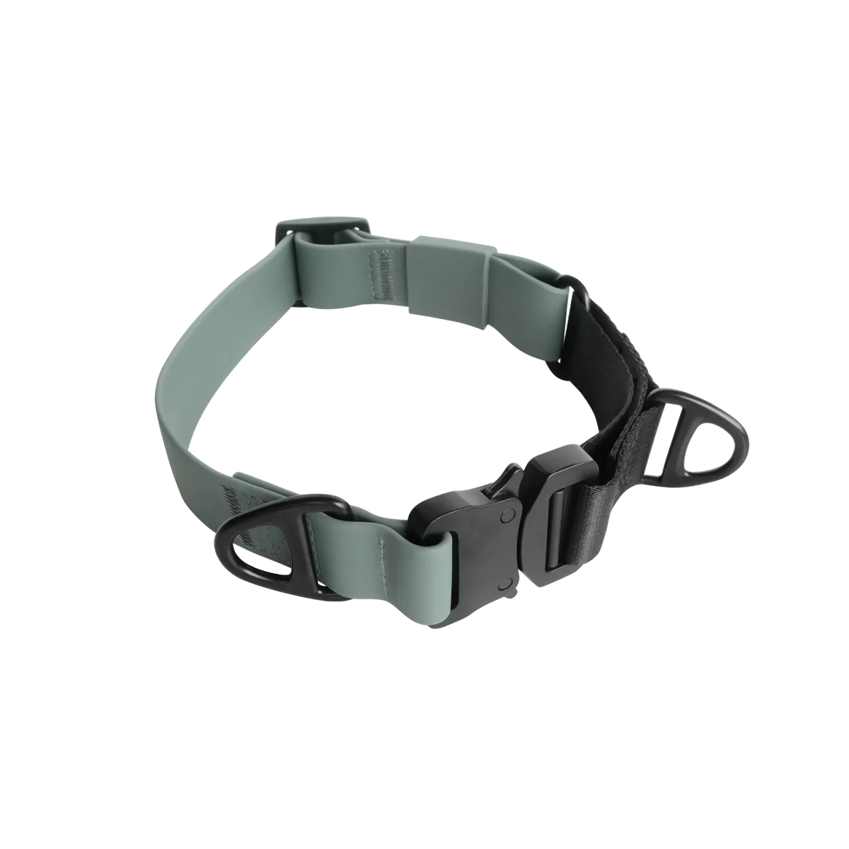 AVA MARTINGALE Quick-release metal buckle collar