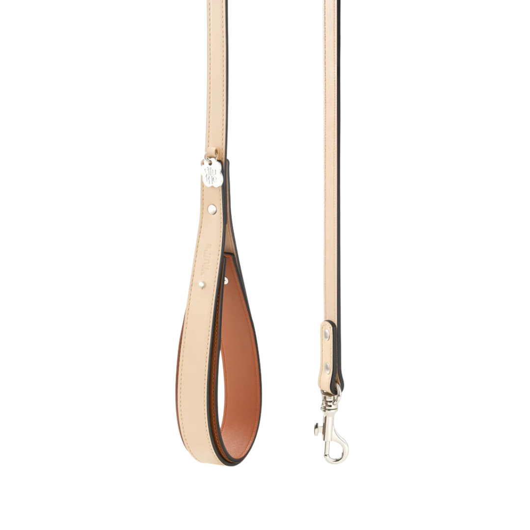 Chaco Dog Leash