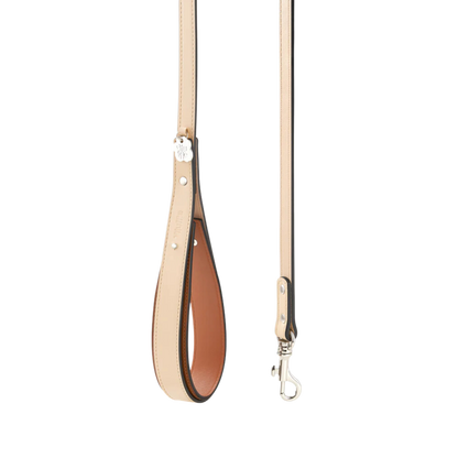 Chaco Dog Leash