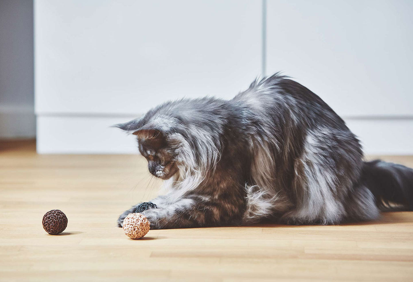 Filo Cat Toy Ball