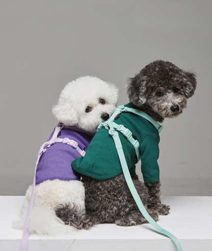 Macaron Pet Harness