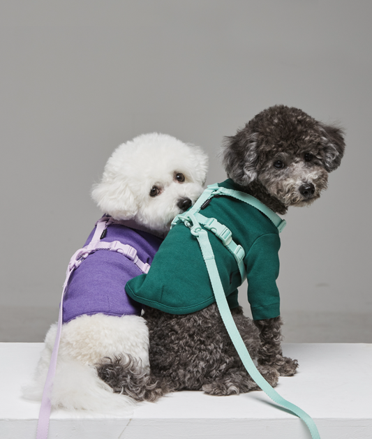 Macaron Pet Harness