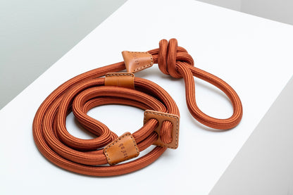 Dog Harness Ray