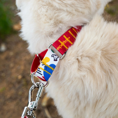 BAU - Martingale Collar