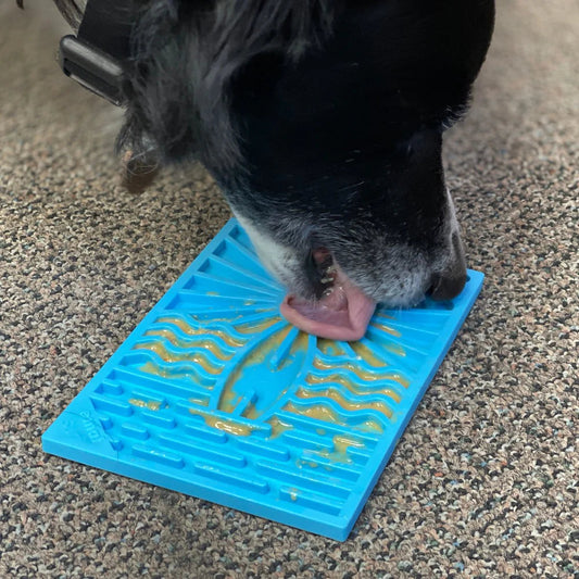 Surf's Up Design - Enrichment Lick Mat