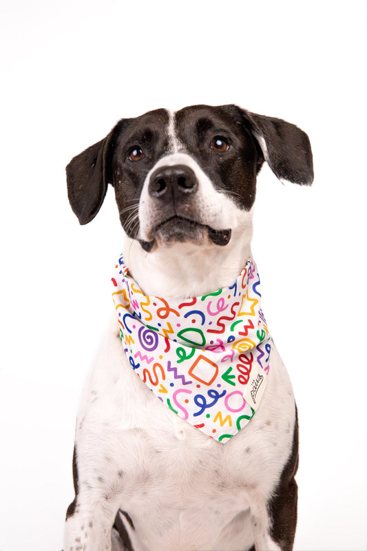 Bandanas - Fun