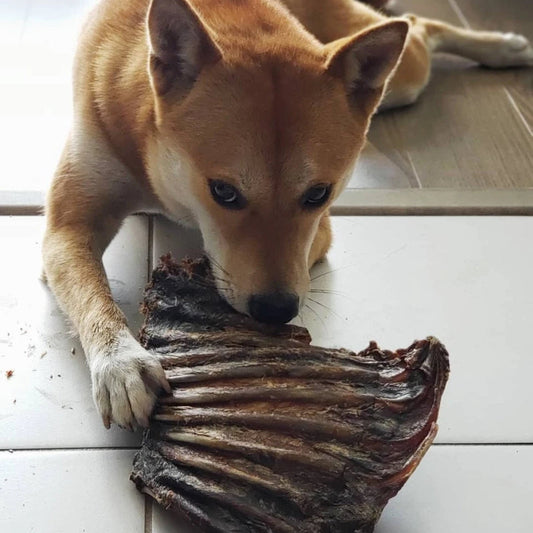 Kangaroo Rib Rack